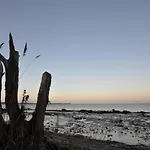 Emilias Hues, Reethaus In Der Bucht Von Wismar
