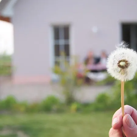Emilias Hues, Reethaus In Der Bucht Von Wismar Casa vacanze Zierow