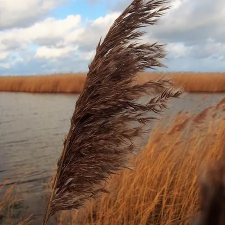 Casa vacanze Emilias Hues, Reethaus In Der Bucht Von Wismar *