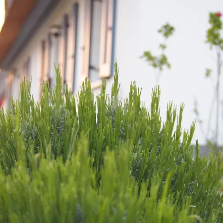 Casa vacanze Emilias Hues, Reethaus In Der Bucht Von Wismar *