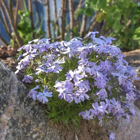 Casa vacanze Emilias Hues, Reethaus In Der Bucht Von Wismar Zierow